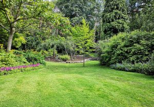 Optimiser l'expérience du jardin à Sceaux-du-Gatinais